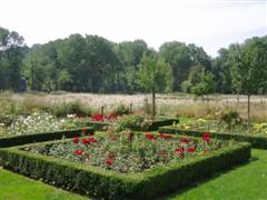 Rozentuin bij Château Sint Gerlach (Fons Heijnens)